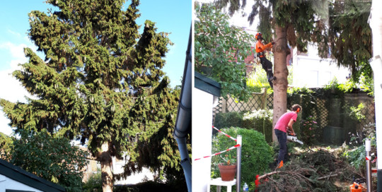 R.S Rénovation — Photos 10